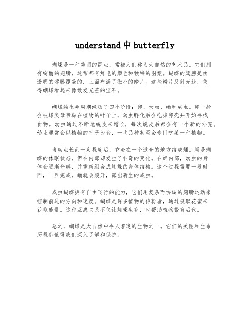 understand中butterfly