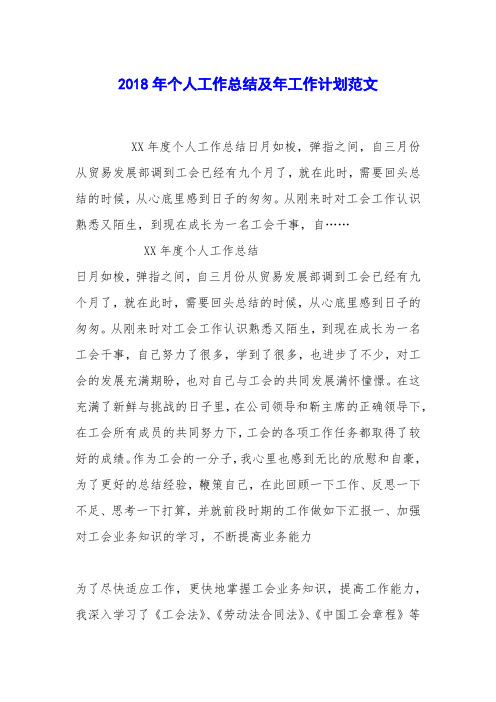 2018年个人工作总结及年工作计划范文