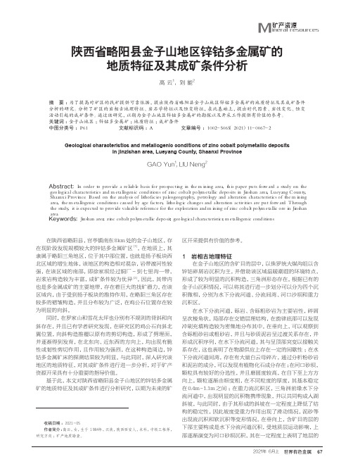 陕西省略阳县金子山地区锌钴多金属矿的地质特征及其成矿条件分析