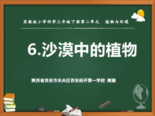 三年级下 6沙漠里的植物4 苏教版