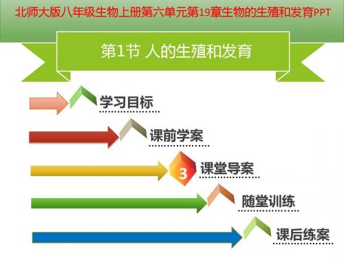 北师大版八年级生物上册第六单元第19章生物的生殖和发育PPT