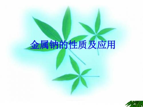 金属钠的性质及应用