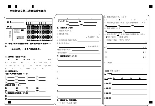 初中语文答题卡模板(填图卡)