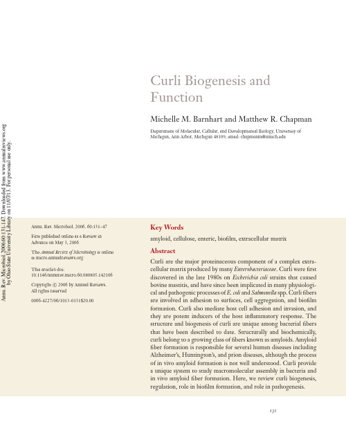 Curli Biogenesis and Function