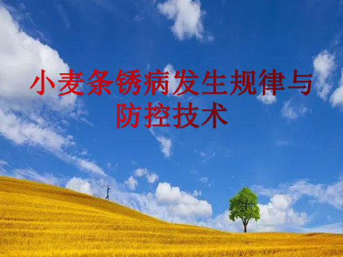 小麦条锈病发生规律与防控技术