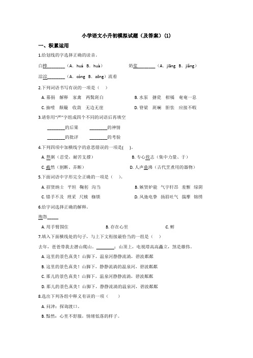 【15套试卷】北京大学附属中学小升初模拟考试语文试题含答案