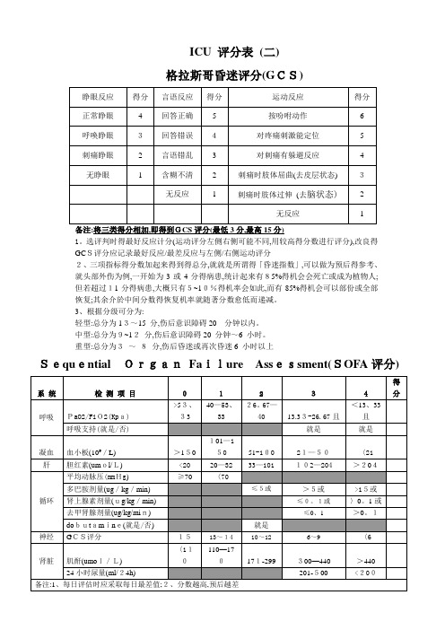 SOFA评分表