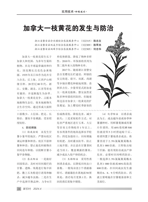 加拿大一枝黄花的发生与防治