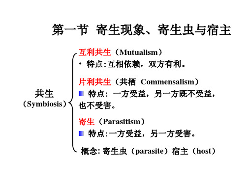 人体寄生虫概述教程文件