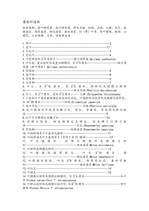 蔷薇科植物检索表