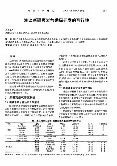 浅谈新疆页岩气勘探开发的可行性