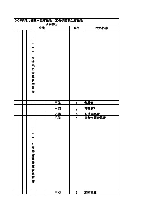 2013药品目录全部及新增加