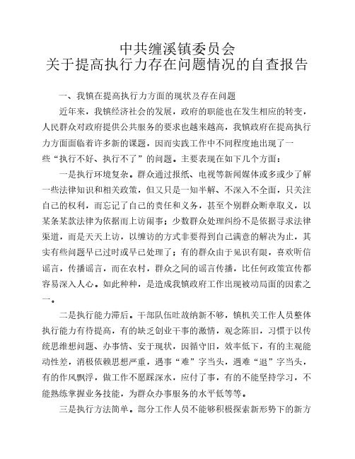 关于提高执行力存在问题情况的自查报告