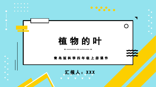 青岛版科学四年级上册课件植物的叶PPT模板 (3)