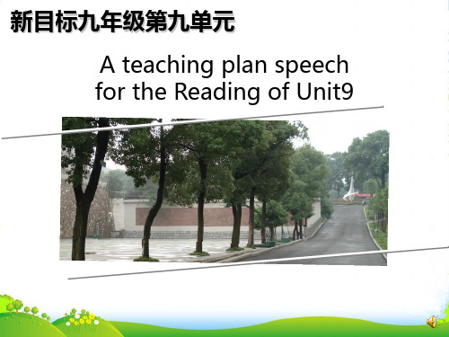 人教版英语九全Unit 9(Reading)说课稿(共28张PPT)-课件