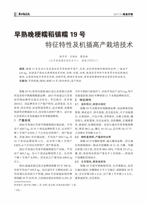 早熟晚粳糯稻镇糯19号特征特性及机插高产栽培技术