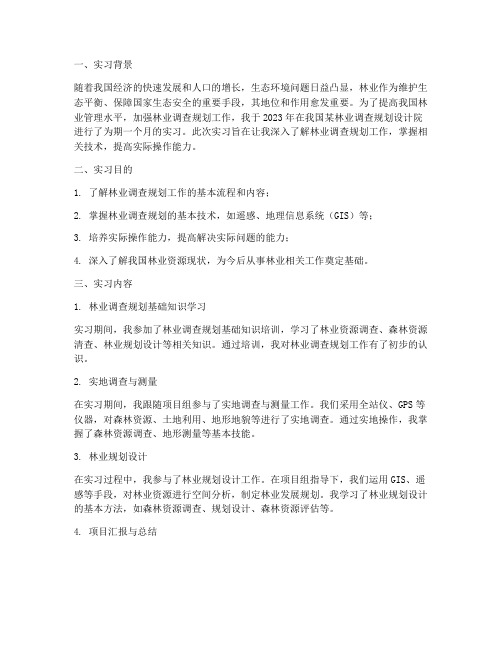 林业调查规划实习报告