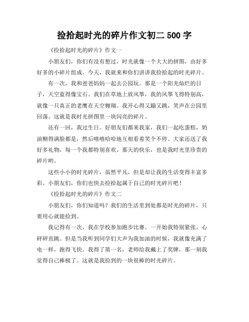 捡拾起时光的碎片作文初二500字