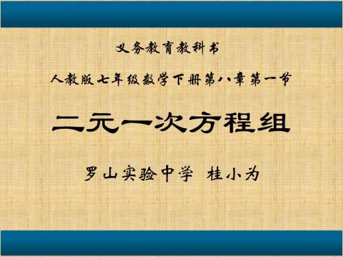 二元一次方程组说课稿