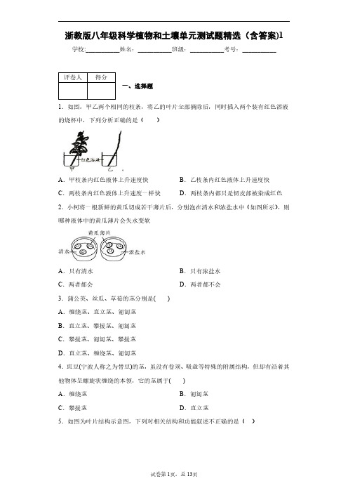 浙教版八年级科学植物和土壤单元测试题精选(含答案)1