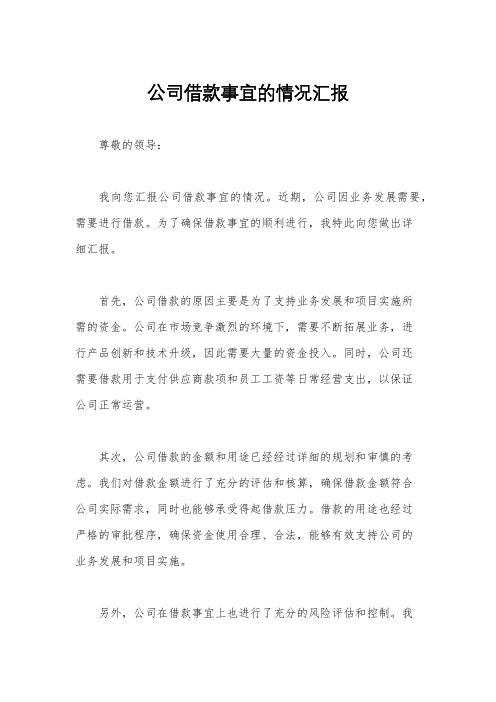 公司借款事宜的情况汇报