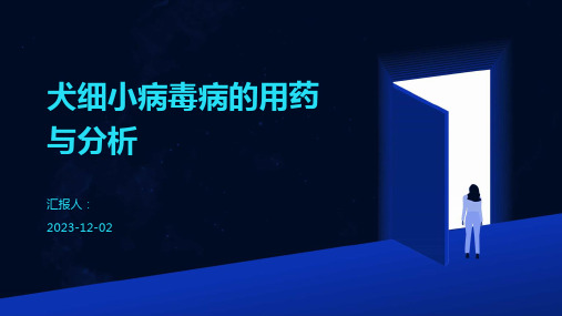 犬细小病毒病的用药与分析