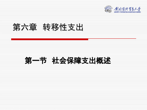 第六章社会保障支出(新)案例