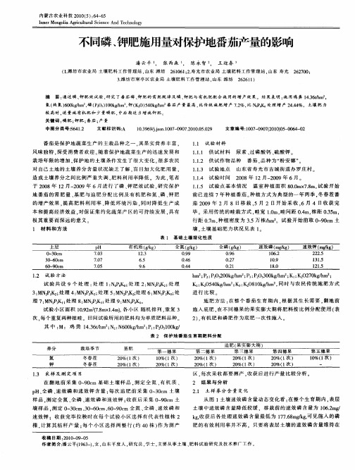 不同磷、钾肥施用量对保护地番茄产量的影响