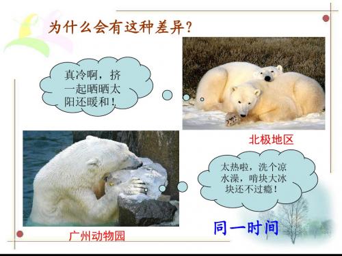 影响气候的主要因素1