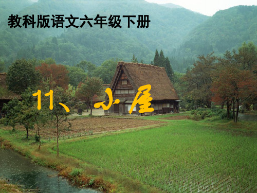 六年级下册语文课件-11小屋   ｜教科版           (共15张PPT)