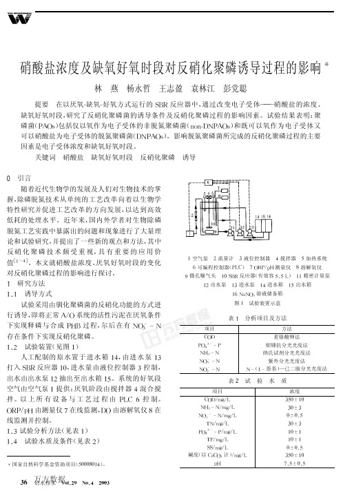 硝酸盐浓度及缺氧好氧时段对反硝化聚磷诱导过程