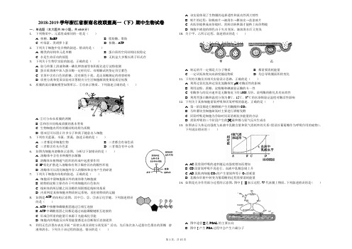 2018-2019学年浙江省浙南名校联盟高一(下)期中生物试卷(解析版)