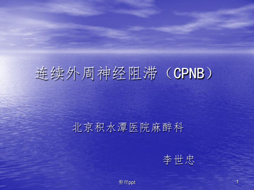 连续外周神经阻滞(CPNB)