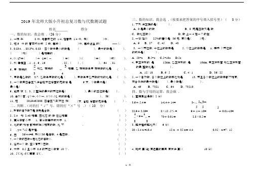 最新2019年北师大版小升初总复习数与代数测试题.docx