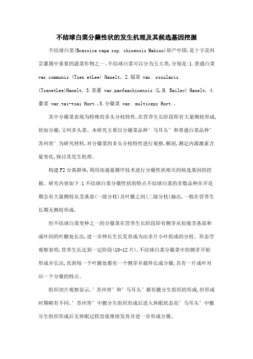 不结球白菜分蘖性状的发生机理及其候选基因挖掘