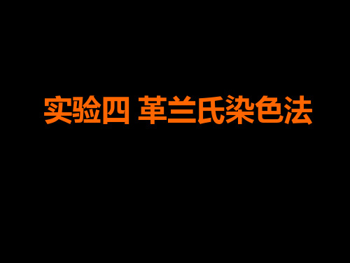 实验革兰氏染色法