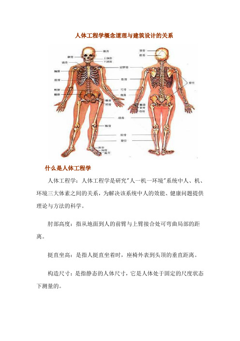 人体工程学与建筑设计应用关系