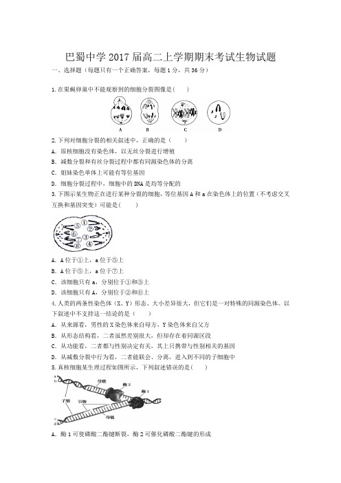 重庆市巴蜀中学2015-2016学年高二上学期期末考试生物试题