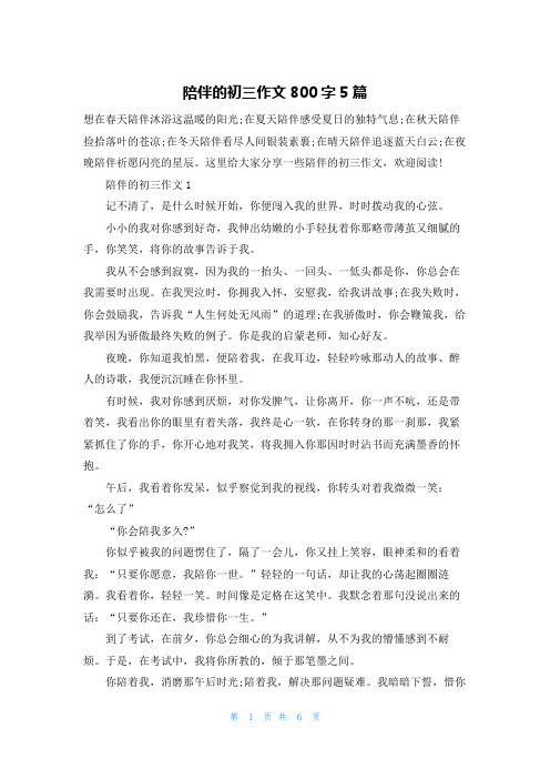 陪伴的初三作文800字5篇