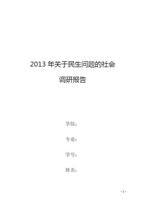 2013年关于民生问题的社会调研报告