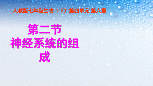 七年级生物下册人教版神经系统的组成课件__ppt课件