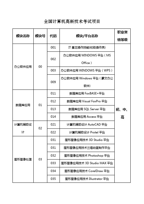 计算机高新技术考试项目