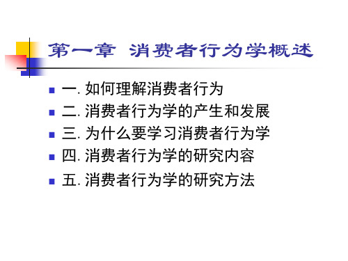 消费者行为学概论PPT.ppt