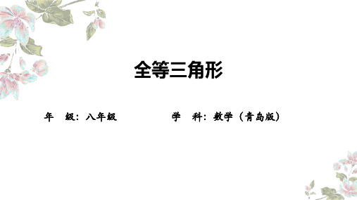 1.1全等三角形 课件2024-2025学年青岛版数学八年级上册