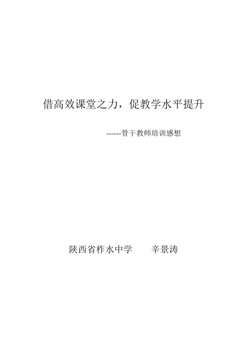 借高效课堂之力,提升教学水平(圆桌论坛发言稿)