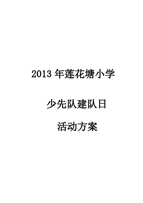 2013建队日方案