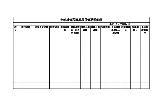 土地增值税清算项目情况明细表