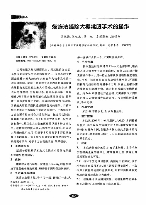 烧烙法摘除犬樱桃眼手术的操作