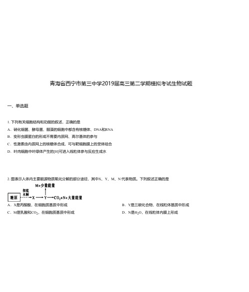 青海省西宁市第三中学2019届高三第二学期模拟考试生物试题