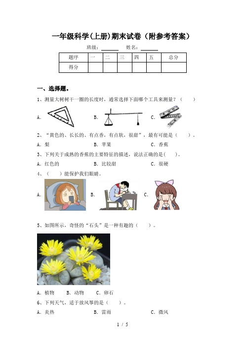 一年级科学(上册)期末试卷(附参考答案)